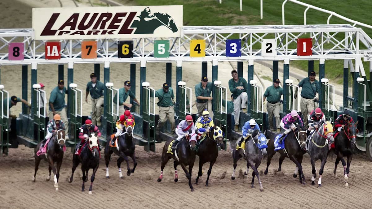 Preakness Stakes 2026: Post time, TV, streaming info, past winners, weather and more