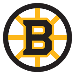 Boston Bruins